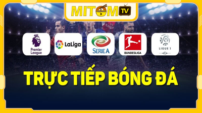 Mitom TV - mitom1-tv.pro: Link xem trực tiếp Full HD miễn phí