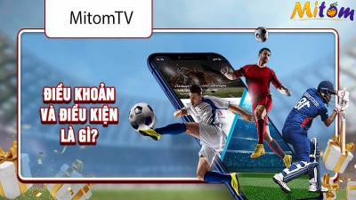 Nền tảng phát sóng trực tiếp bóng đá Mitom TV uy tín hàng đầu